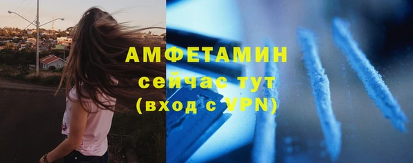 соль ск Вяземский