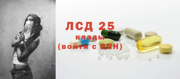 соль ск Вяземский