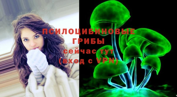 соль ск Вяземский