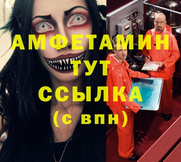 соль ск Вяземский