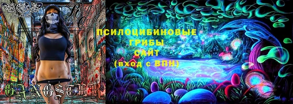 соль ск Вяземский